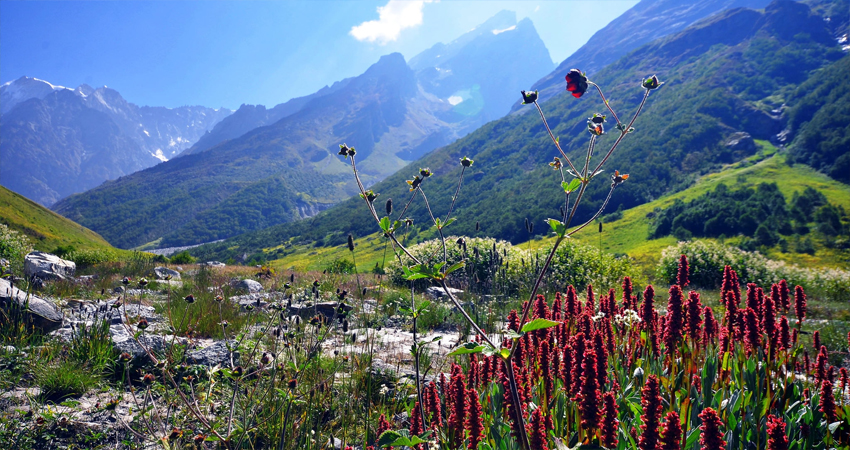 best time to visit Valley of Flowers